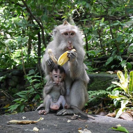 Pondok Penestanan Villa Ubud מראה חיצוני תמונה