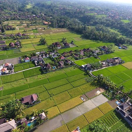 Pondok Penestanan Villa Ubud מראה חיצוני תמונה