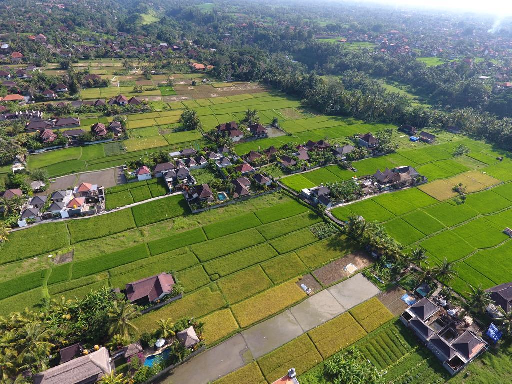 Pondok Penestanan Villa Ubud מראה חיצוני תמונה